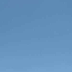 Meet your Posher, Ally